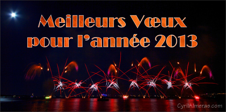 Meilleurs voeux pour la nouvelle ann&eacute;e