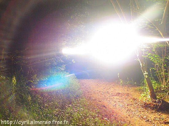 Lumière surnaturelle dans les bois