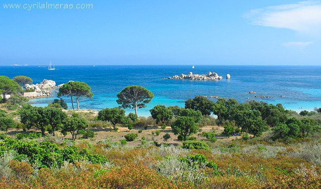 plage de Palombaggia