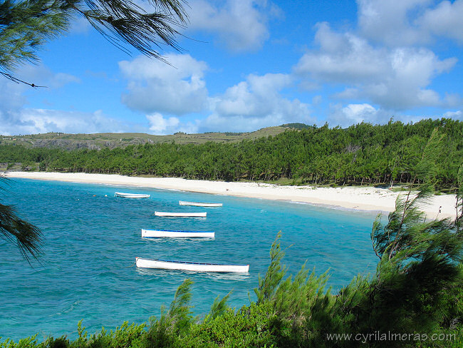 Barques de pecheurs