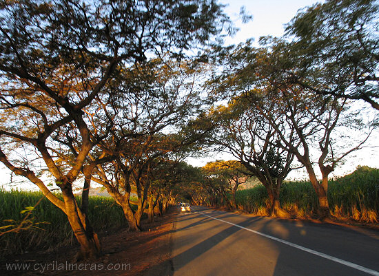 Route mauritienne à la lumère du couchant