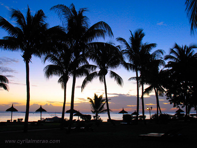 Coucher de Soleil, plage et palmiers