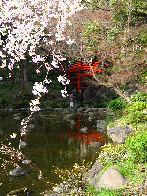 korakuen japonese garden red bridge
