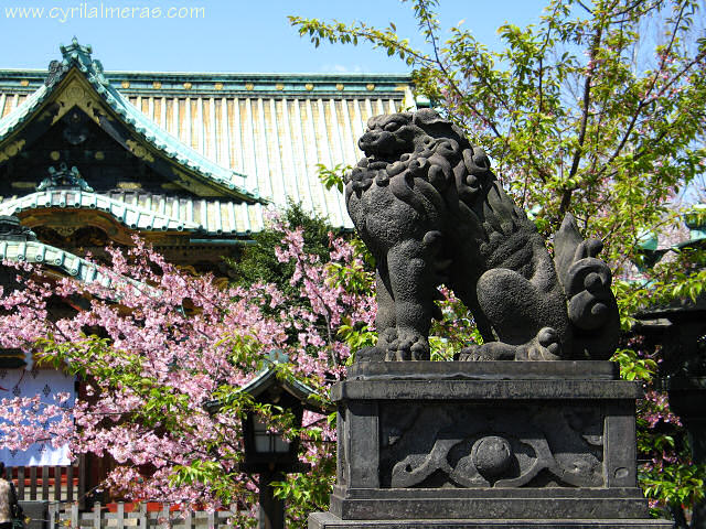 lion parc ueno japon