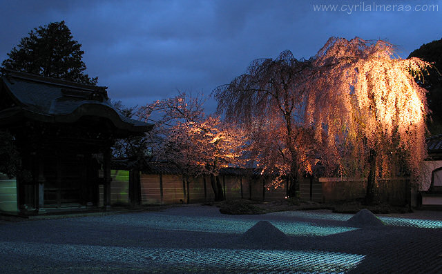 kodaiji rock garden illuminations