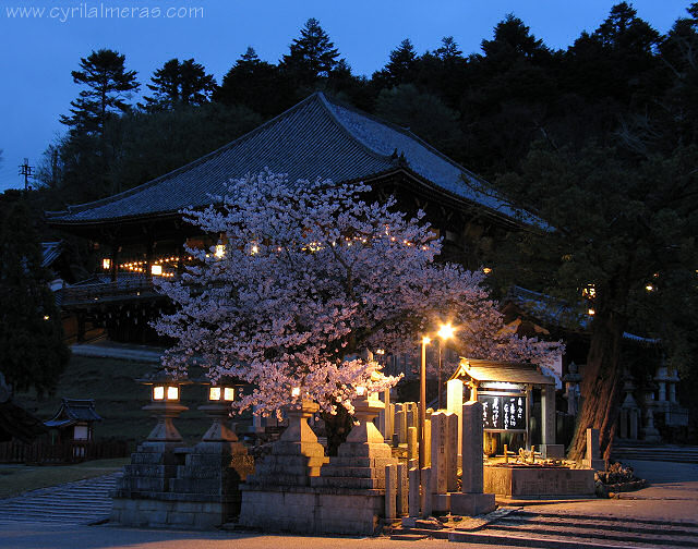 temple nara de nuit