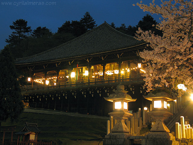 temple nara, lanternes, nuit, japon