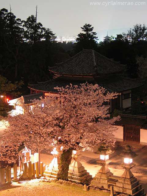 nara by night