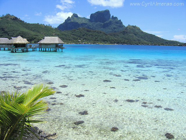 Lagon cristalin, bungalow, Bora-bora 