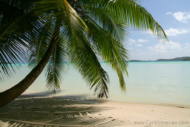 Plage de sable blanc et le en fond