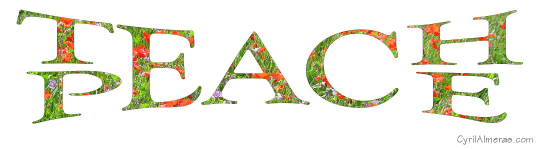 0626 Teach Peace With Flowers 0626 Teach Peace With Flowers