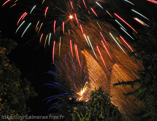 Feux d'artifice dans les arbres