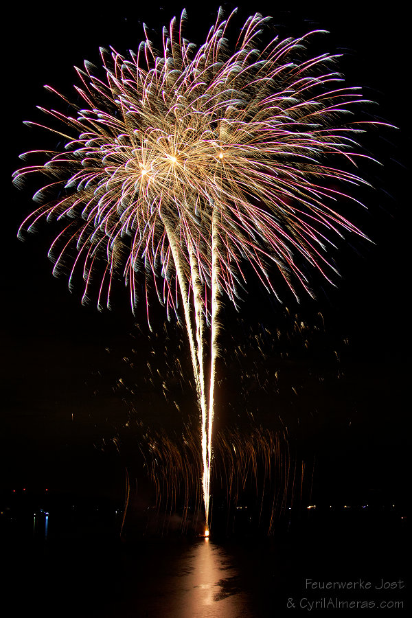 bouquet rose feu artifice