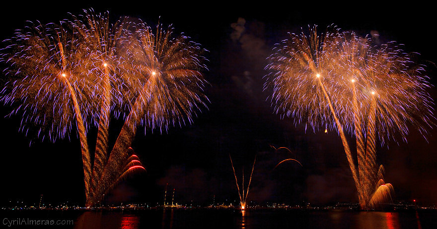 palmiers feu artifice