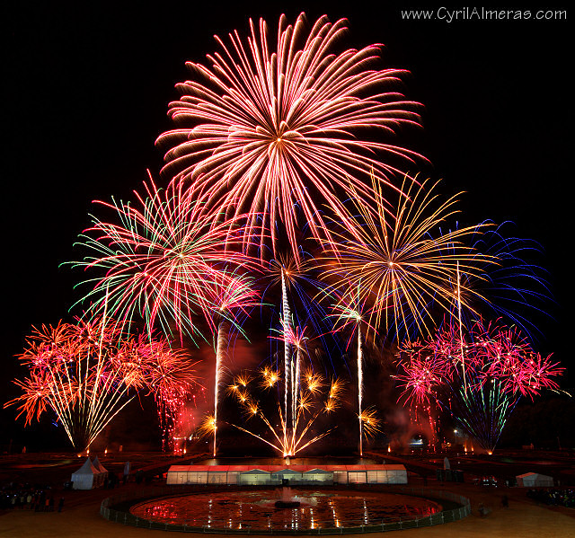 pyrotechnic flowers bouquet