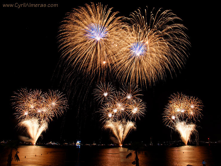 gold fireworks flowers