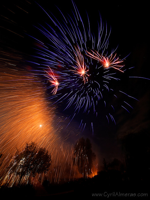 arbres en feu d artifice