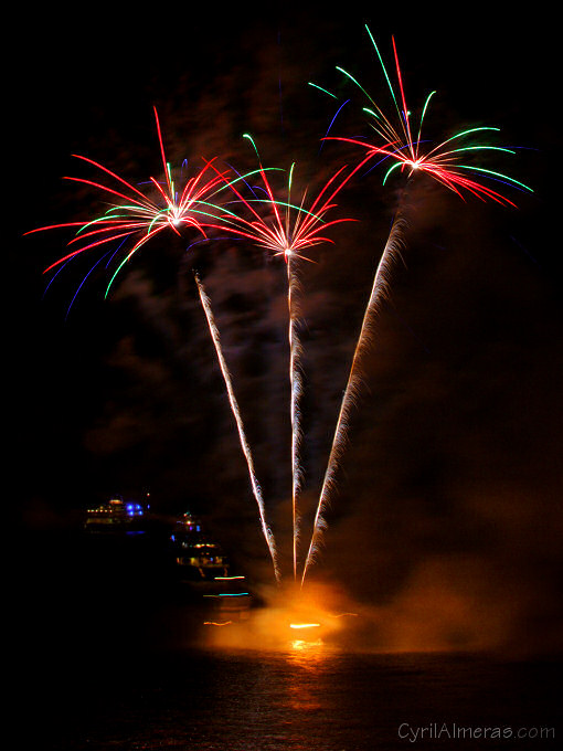 palmier pyrotechnique