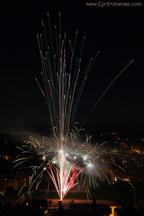 vallauris bouquet artificiel