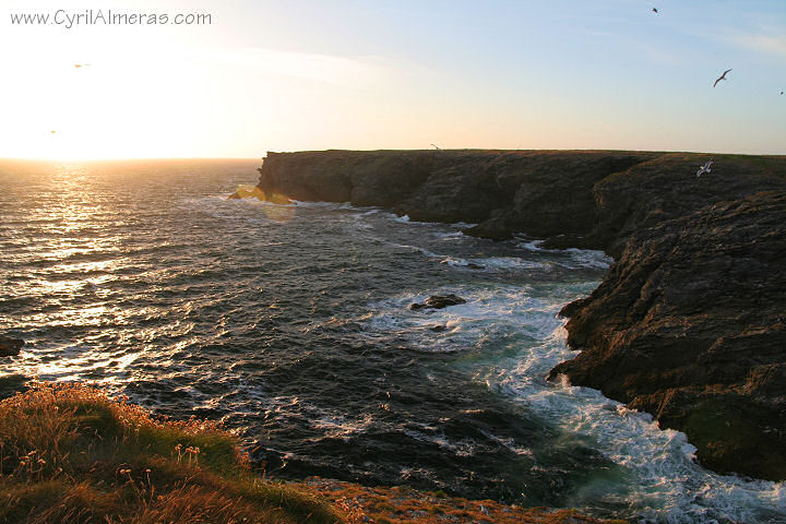 couchant ocean falaises