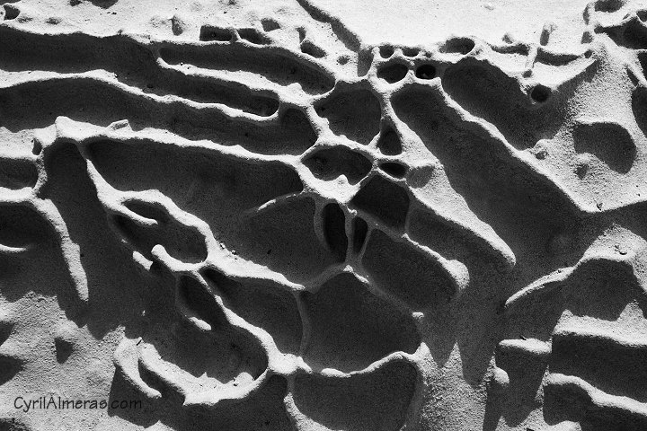 sculptures naturelles dans sable