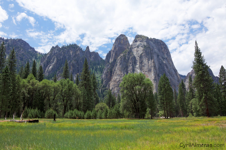 clairiere yosemite