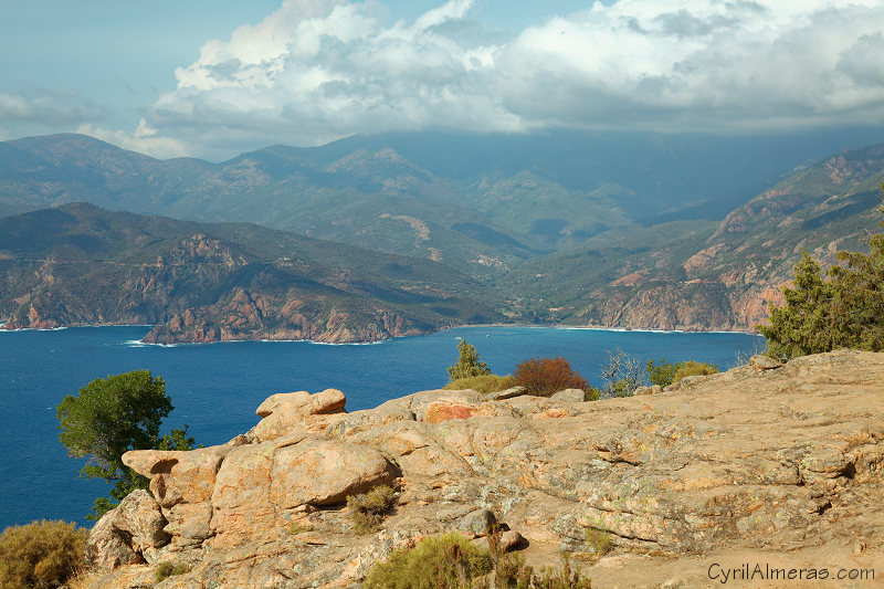 tete de chien calanques de piana