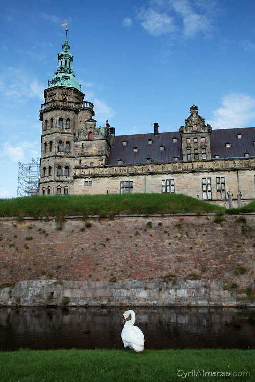 cygne chateau kronborg helsingor