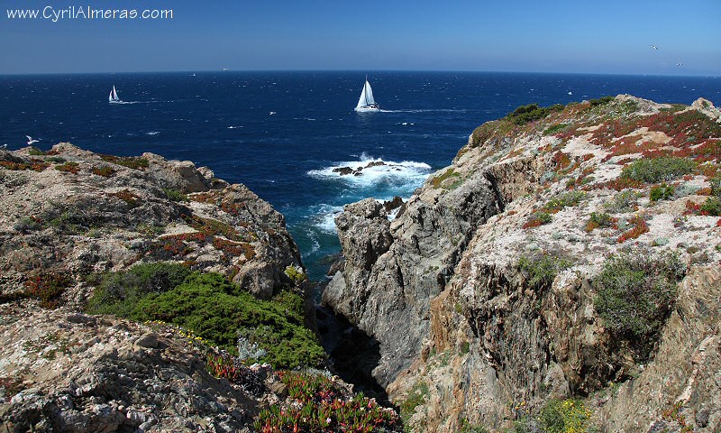 porquerolles rochers mer voilier blanc