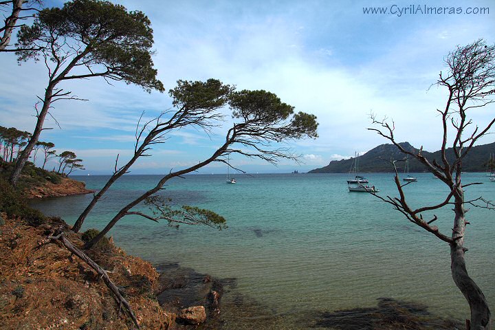 pointe du pin