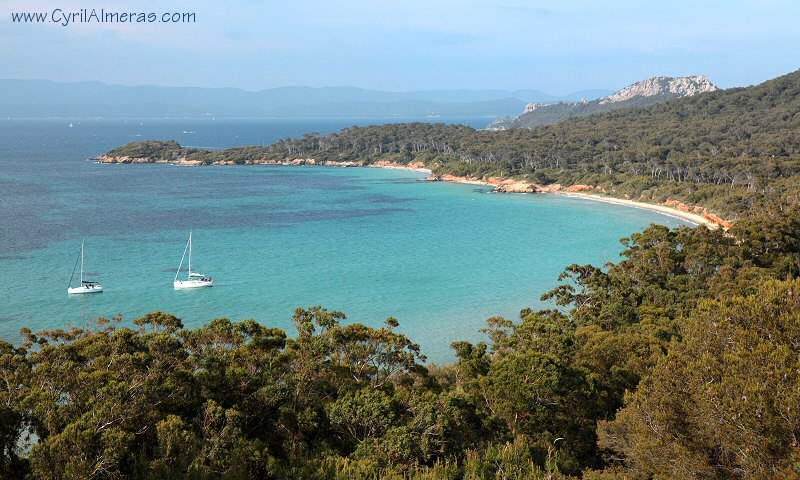 porquerolles plage courtade