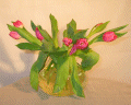 Tulipes qui dansent