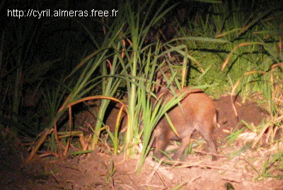 Cette animation peut être longue à charger si vous avez un modem classique...