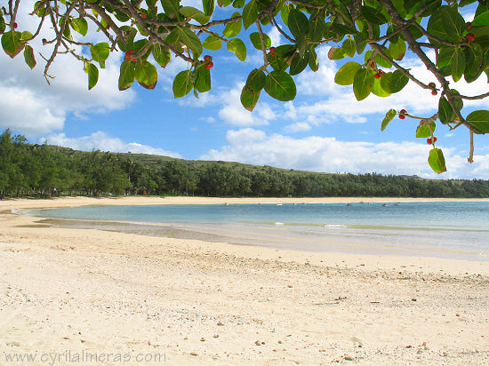 Immense plage deserte
