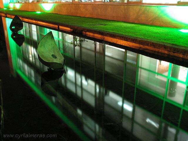 Reflets et feuilles vertes