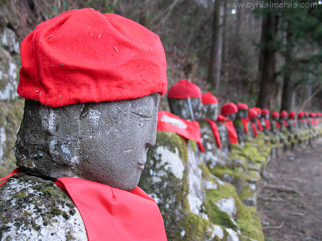 bonnets rouges nikko