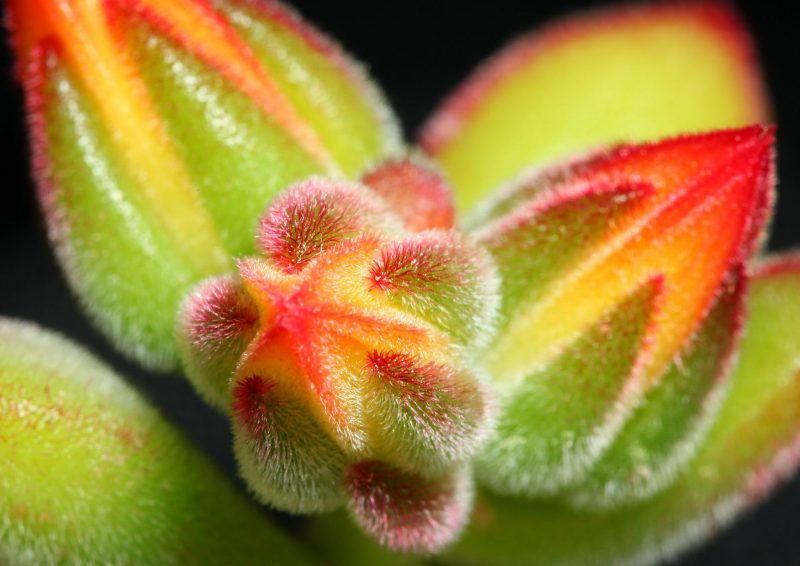 3806 1 Seule Photo 3806 1 Seule Photo