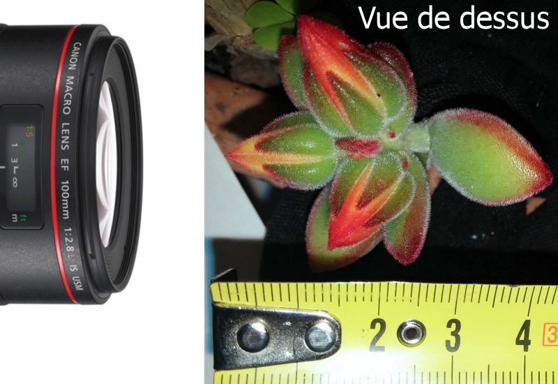 Vue De Dessus Vue De Dessus