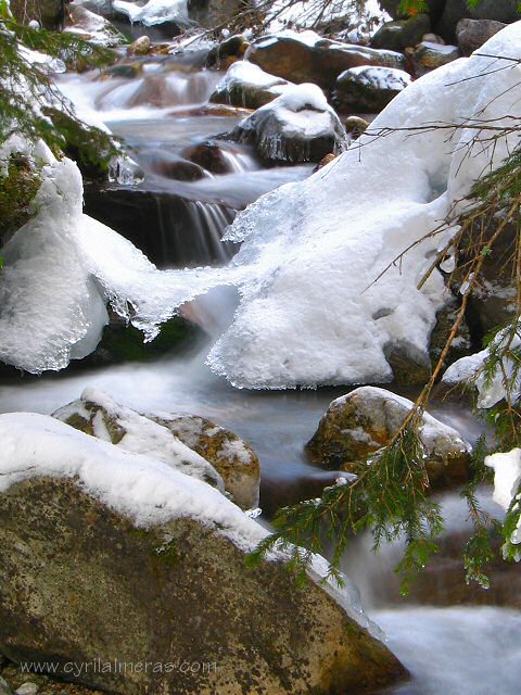 Ruisseau Enneige Sapins effet filé d'eau par pose longue