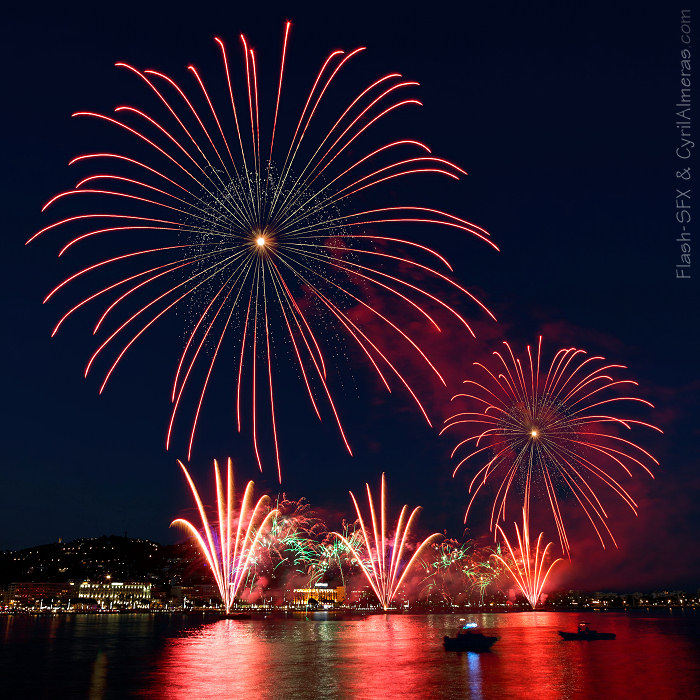 great fireworks red flowers