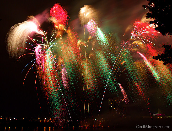 colorful willow fireworks