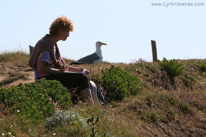 la peintre et le goeland