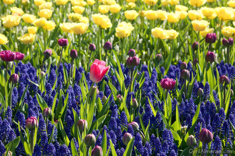 8000 Sortir Du Lot 8000 Sortir Du Lot