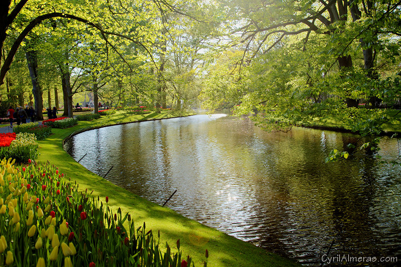 8122 Jardin Keukenhof Plus Beau Parc Lac 8122 Jardin Keukenhof Plus Beau Parc Lac